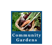 ￼
Community Gardens